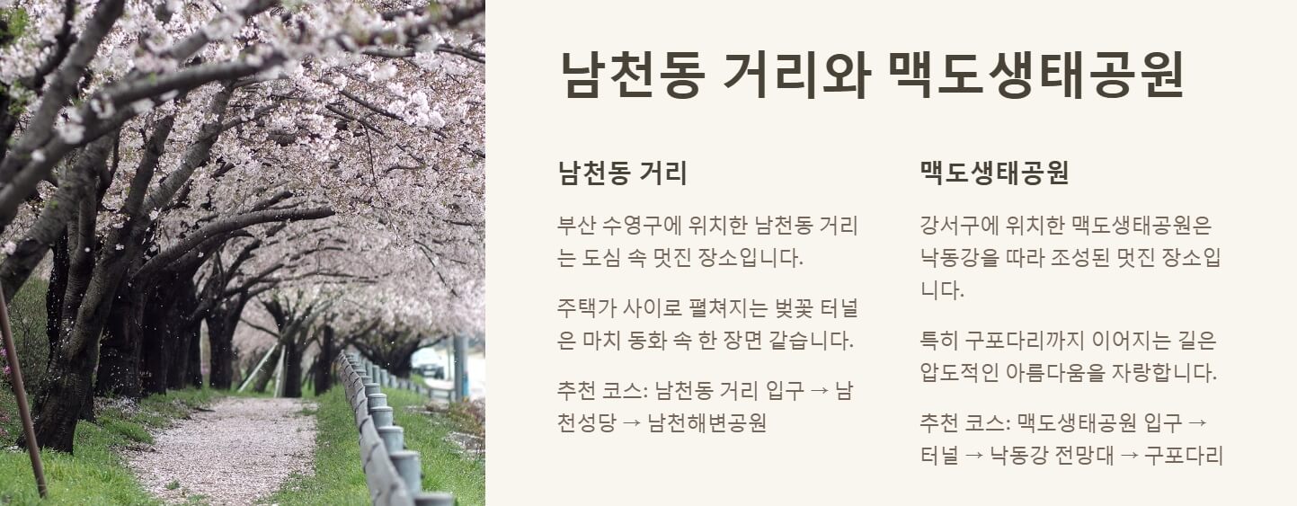 부산 벚꽃 명소