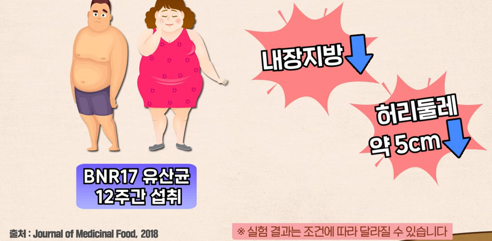 bnr17유산균 효능