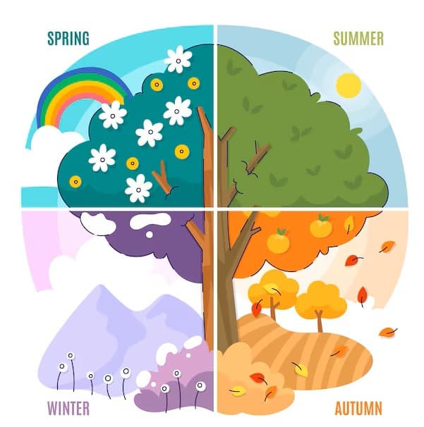 희귀 식물로 실내에서 계절감을 표현하는 팁