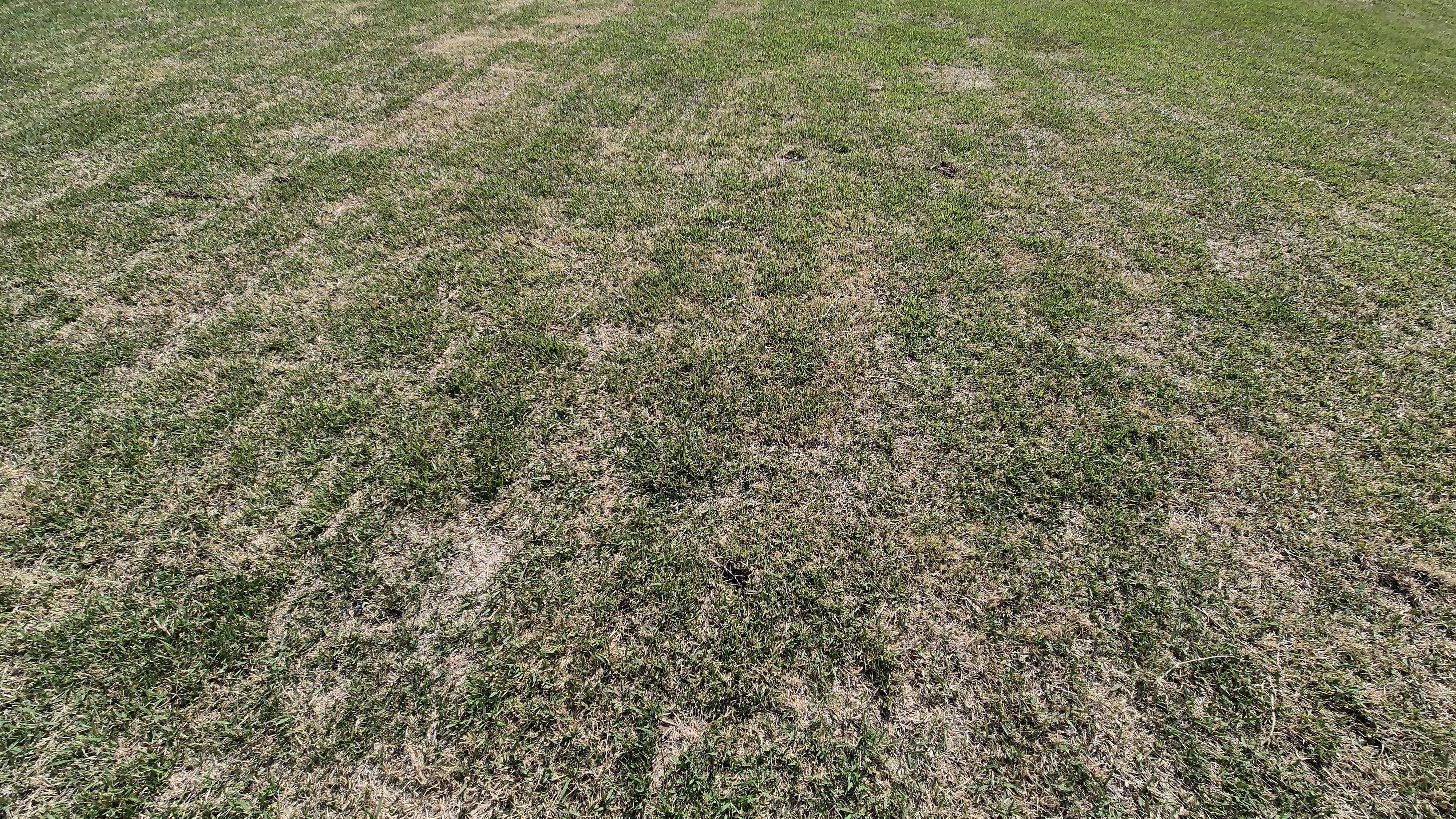 마에스트로cc 라운드 후기