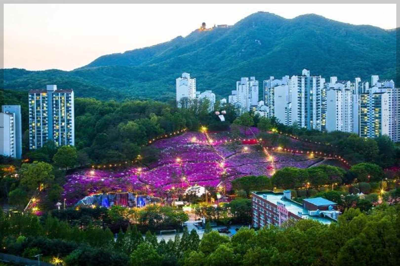 군포 철쭉축제 일정 주차장 공연정보(총정리) 4월 군포 가볼만한곳