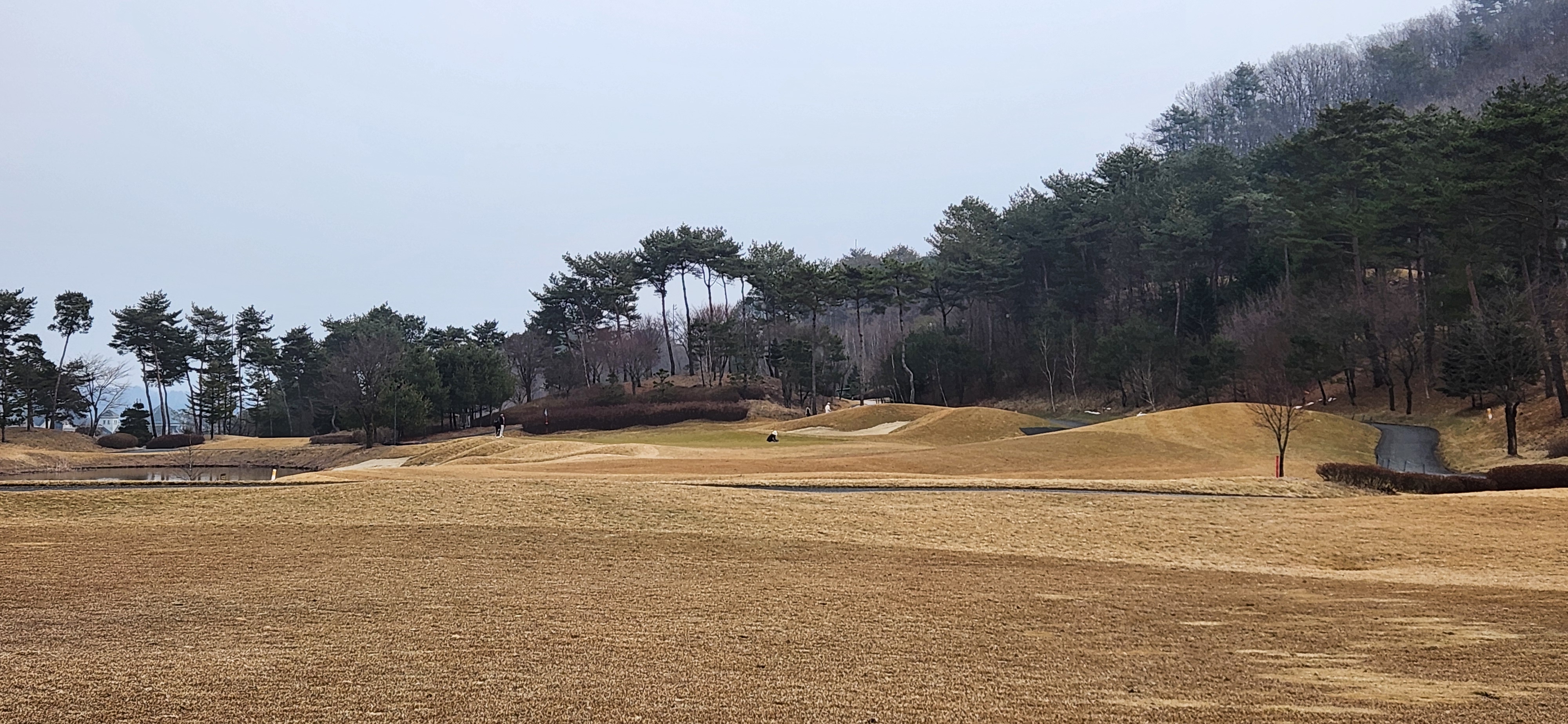 힐드로사이cc