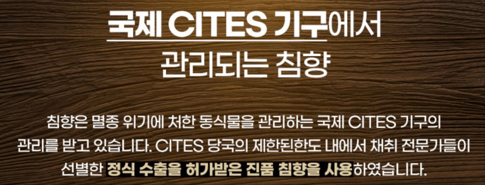 침향환