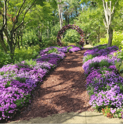 화담숲 예약·변경·취소 절차를 단계별로 정리한 가이드.