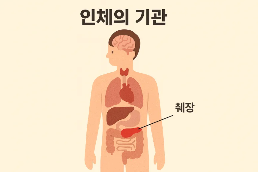 췌장암