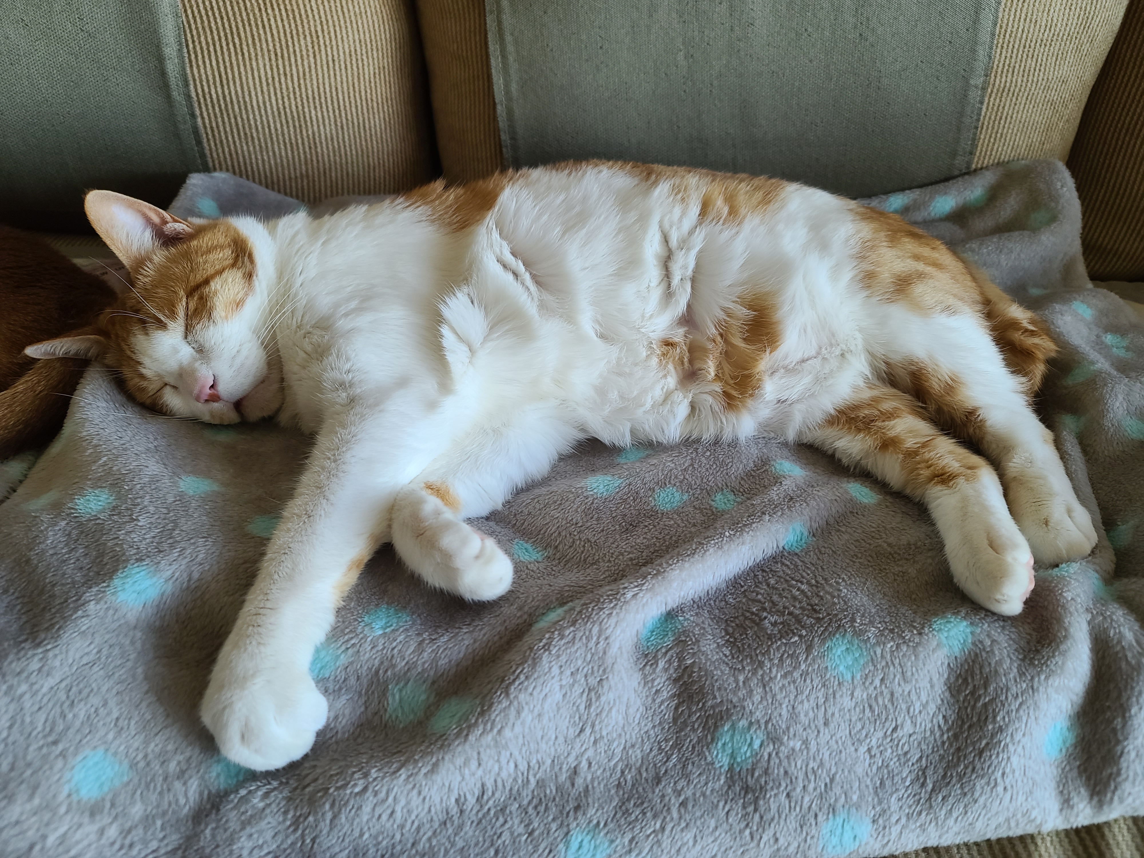 안아달라 칭얼대는 막둥이