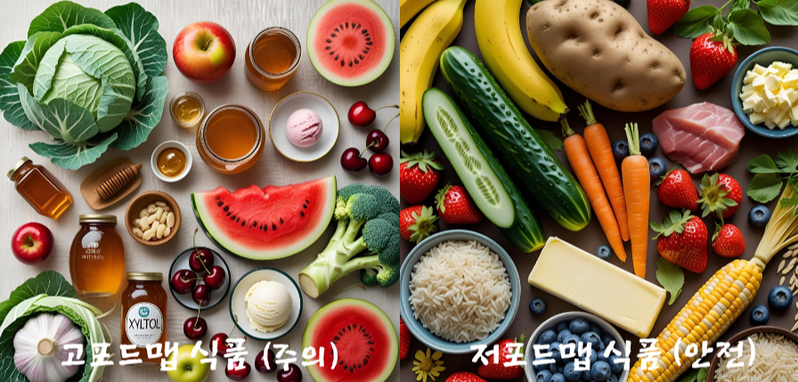 alt=&quot;FODMAP 식품 구분&quot;