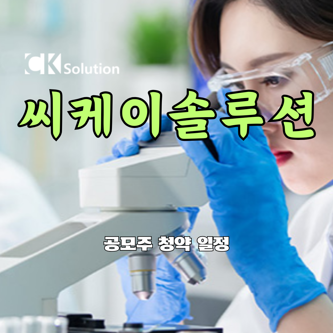 씨케이솔루션