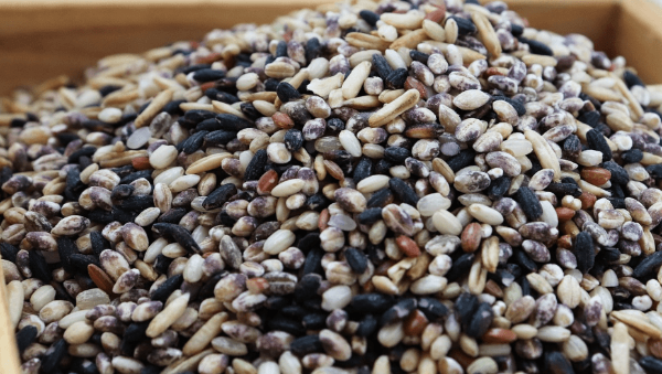 비타민B군, 에너지 대사와 신경 건강의 핵심