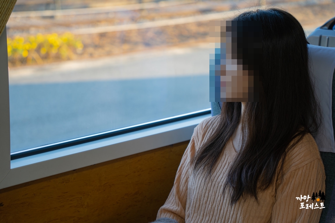 춘천 김유정역 폐역 사진