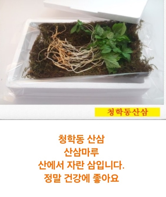 사노라면-청학동-산삼마루
