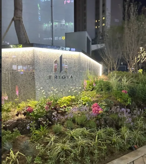 평촌트리지아 줍줍