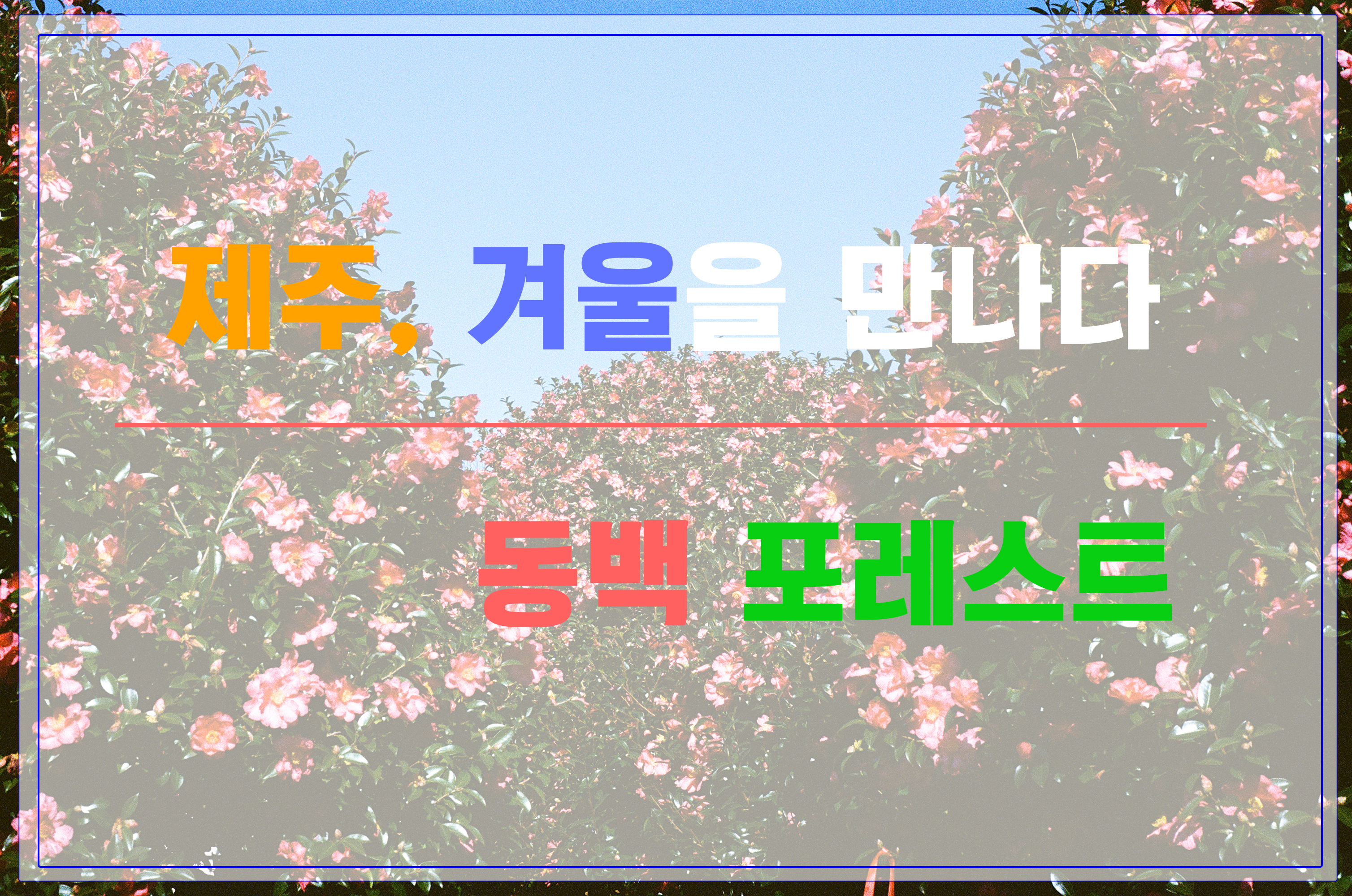 동백포레스트 소개