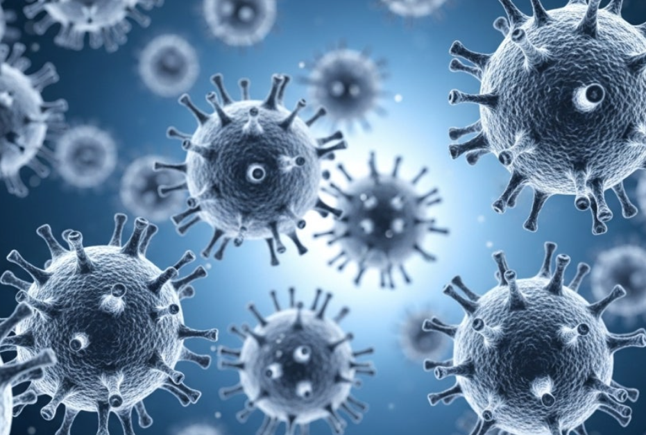 2025 독감백신 비교: 4가 vs 3가 차이와 가격, 무료접종 대상까지