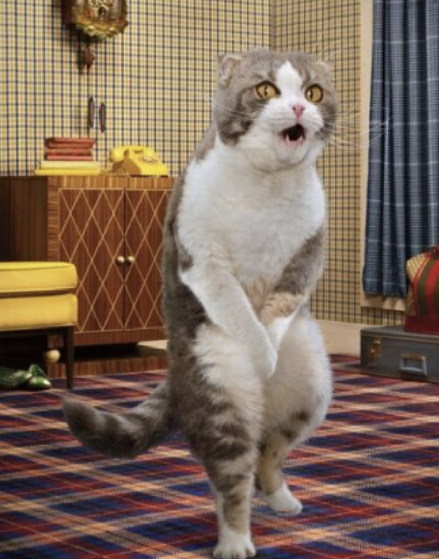 과민성대장증후군