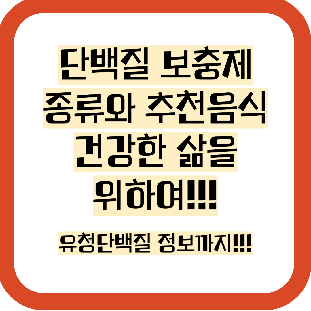 단백질 추천 및 종류 음식까지 정보 모음