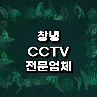 창녕군 cctv