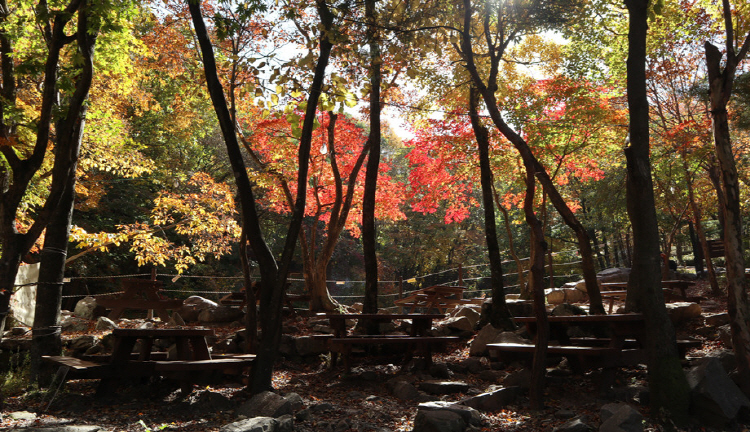운문산 자연휴양림