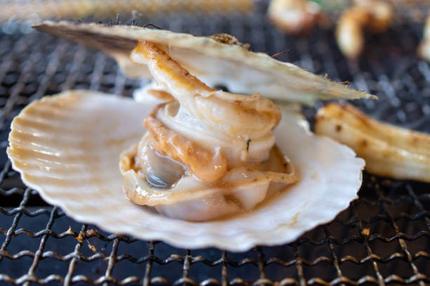 조개구이 &amp; 까바(Cava) 와인 페어링｜바다의 순수함과 지중해 버블의 입맞춤