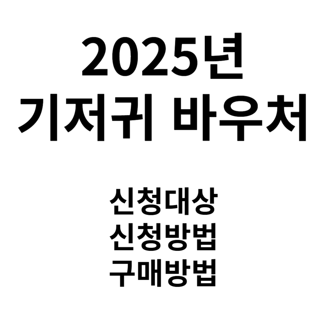2025년 기저귀 바우처