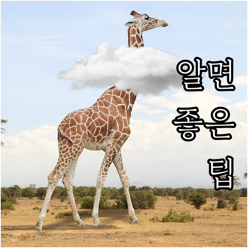 전액 무료 2025 도서벽지 유소년 ..