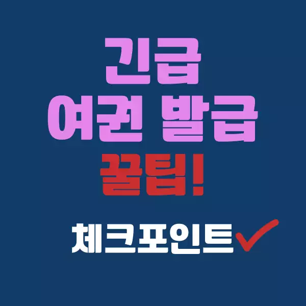 긴급 여권 발급