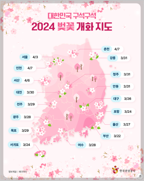 2024년 대한민국 벚꽃 개화시기