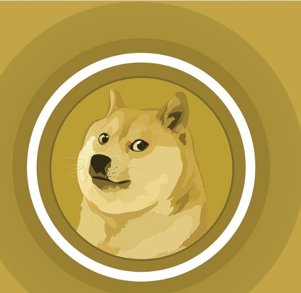 도지코인 이미지