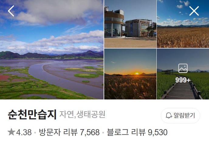 순천만습지 네이버 플레이스