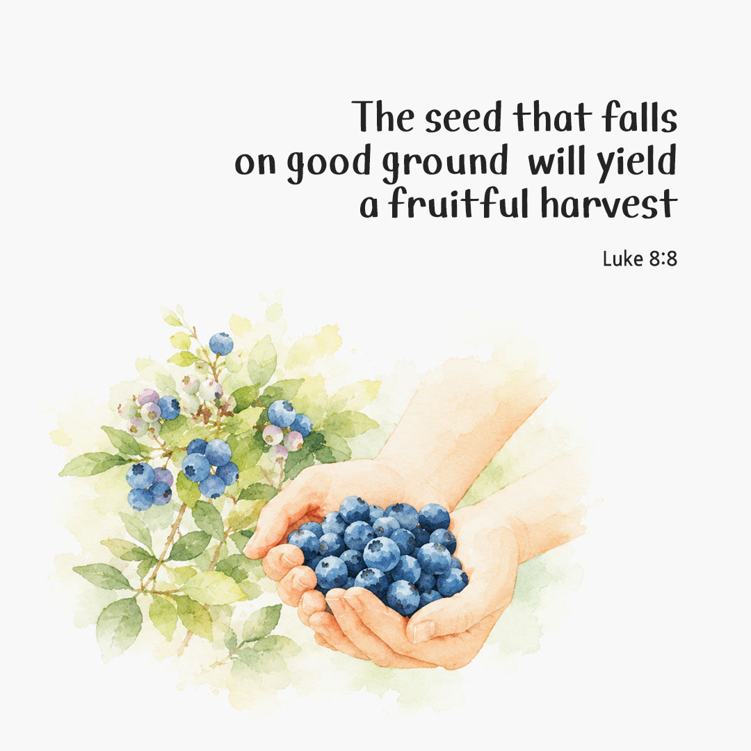 Today's Bible verse card Luke 8:8 scripture image