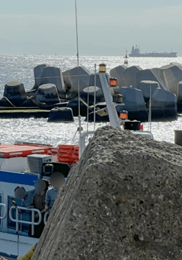 태종대 유람선 타는 곳, 시간표, 예약 방법