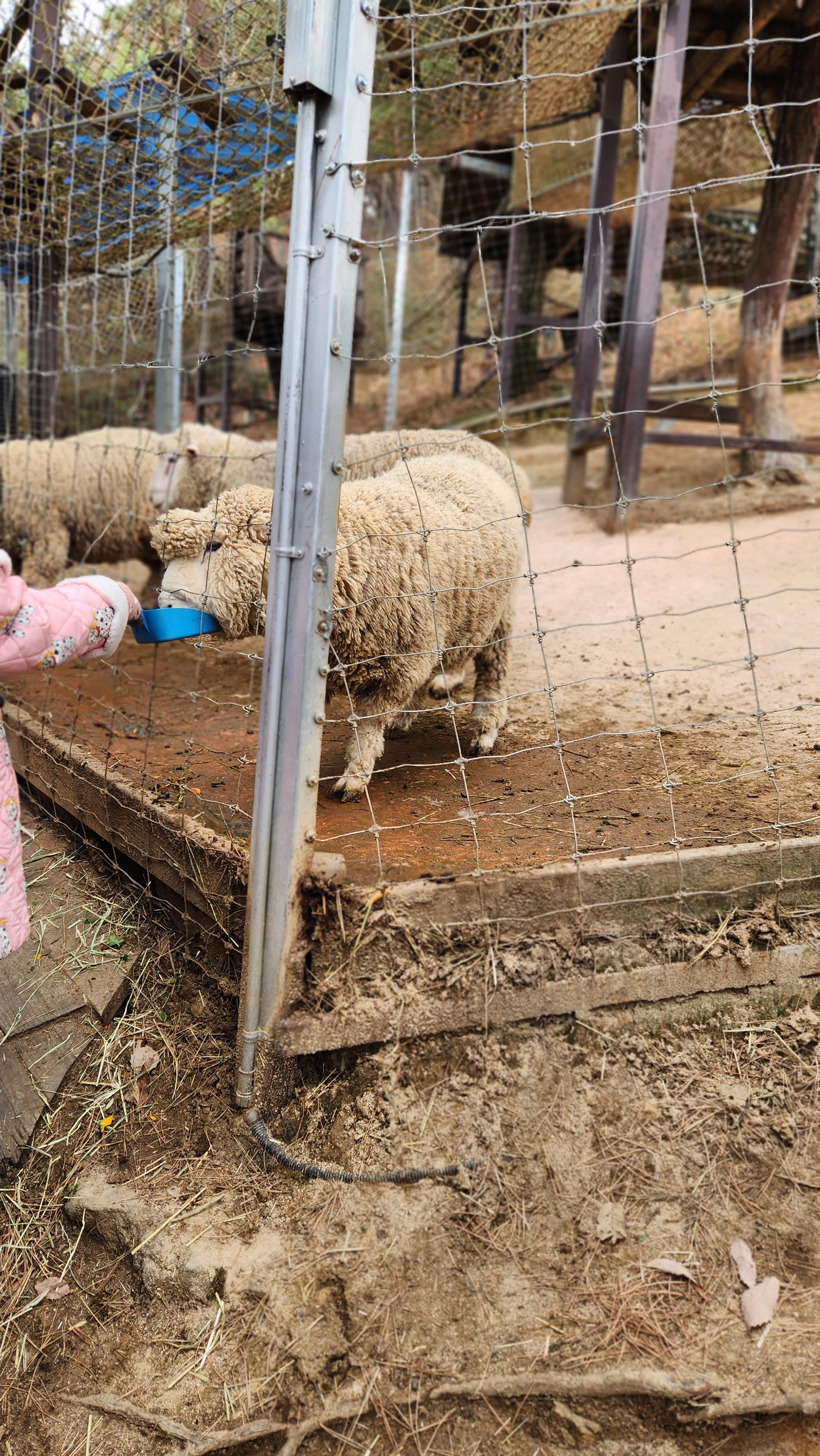 대구-네이처파크