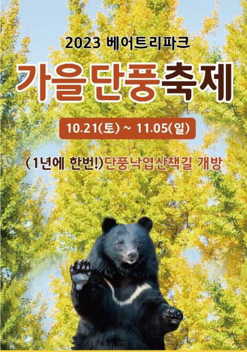 가을단풍과_억새