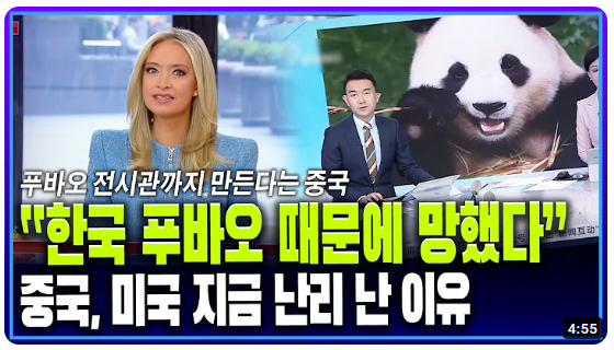 푸바오 소식