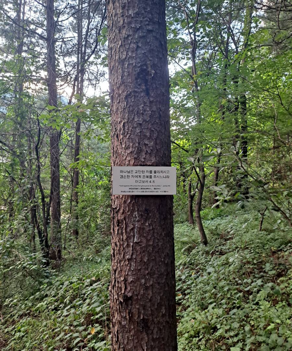 천로역정 야고보서 4장