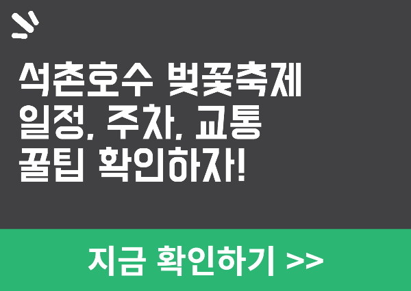 석촌호수 벚꽃축제