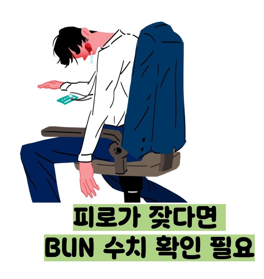 BUN 수치