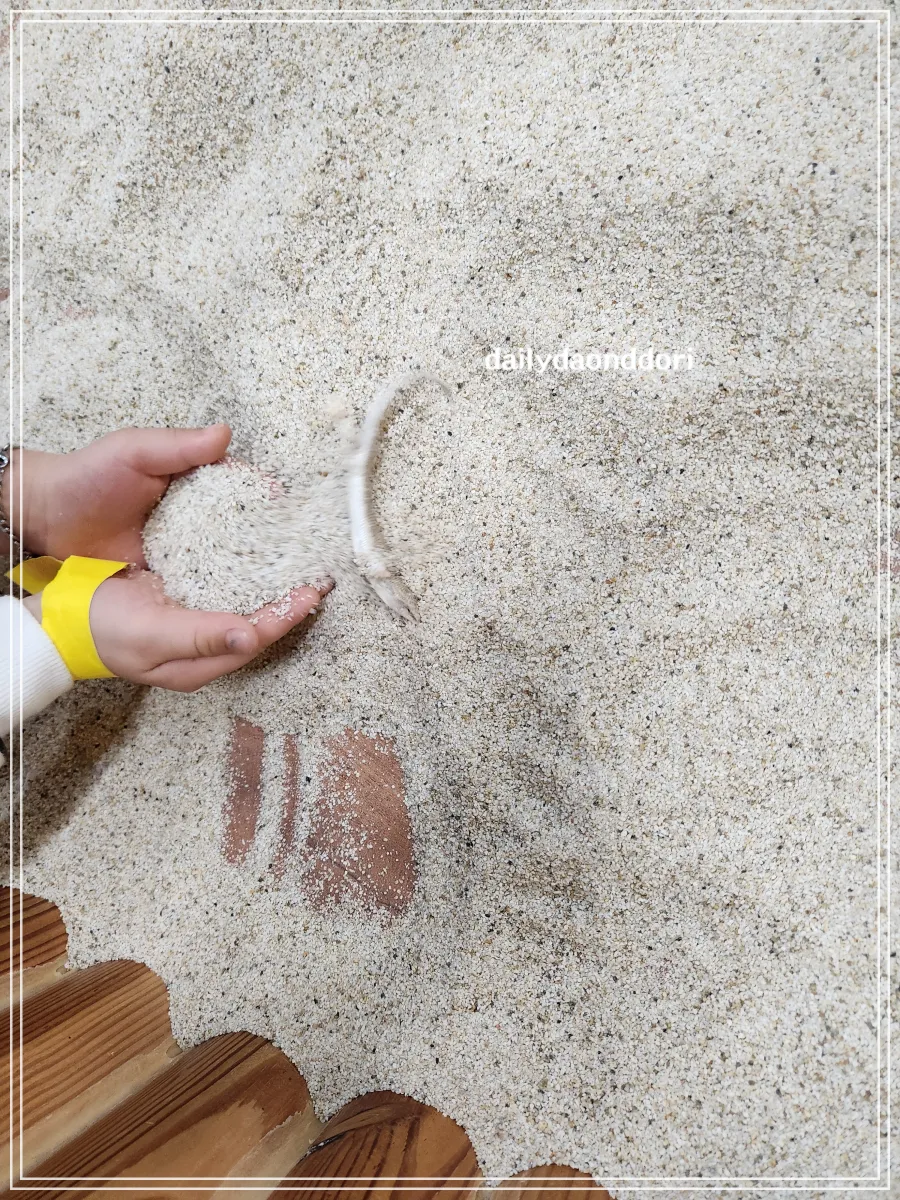 곤충박물관-내부-곤충