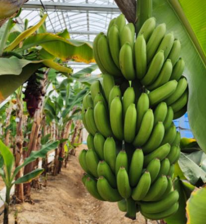 위에 좋은 음식