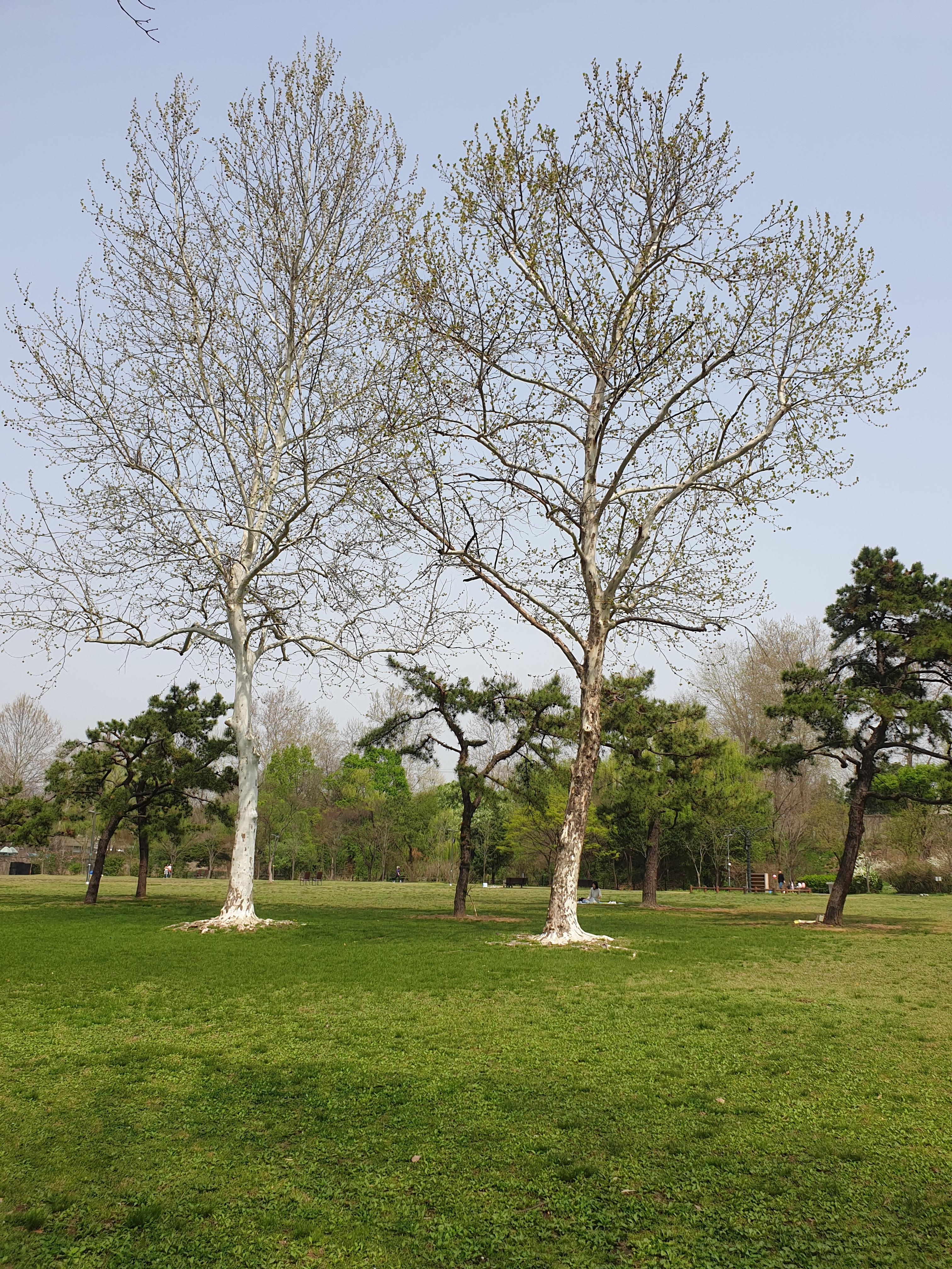 국립중앙박물관