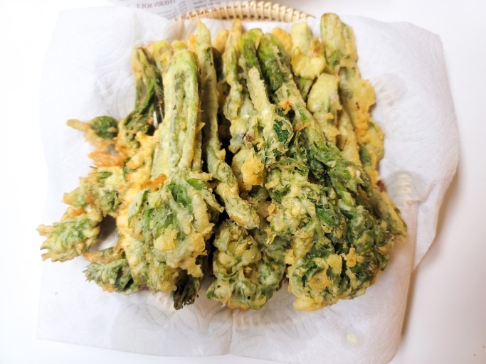 땅두릅 참두릅 효능과 부작용