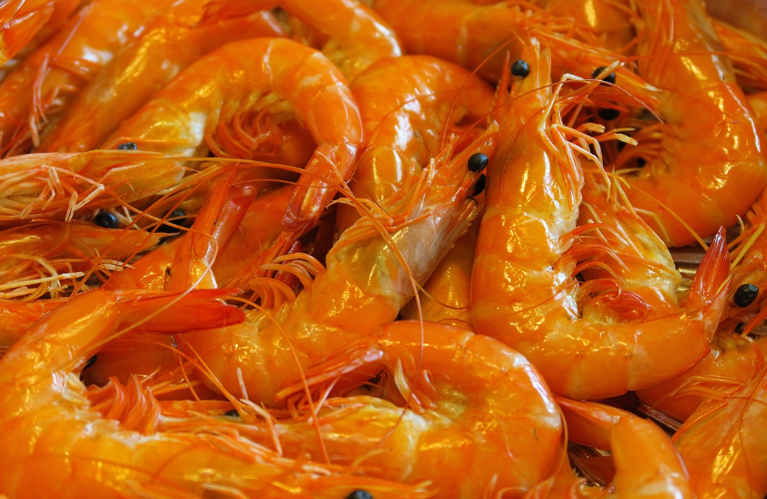 새우 관련 사진