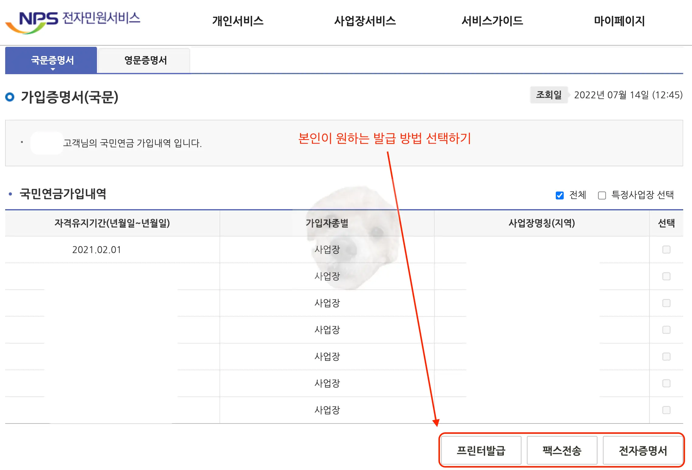 가입증명서 발급 종류 3가지