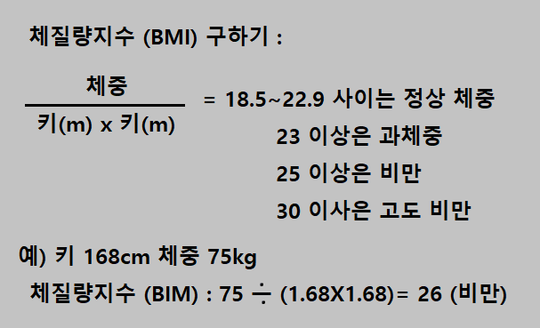 체질량지수-알아보는-비만도