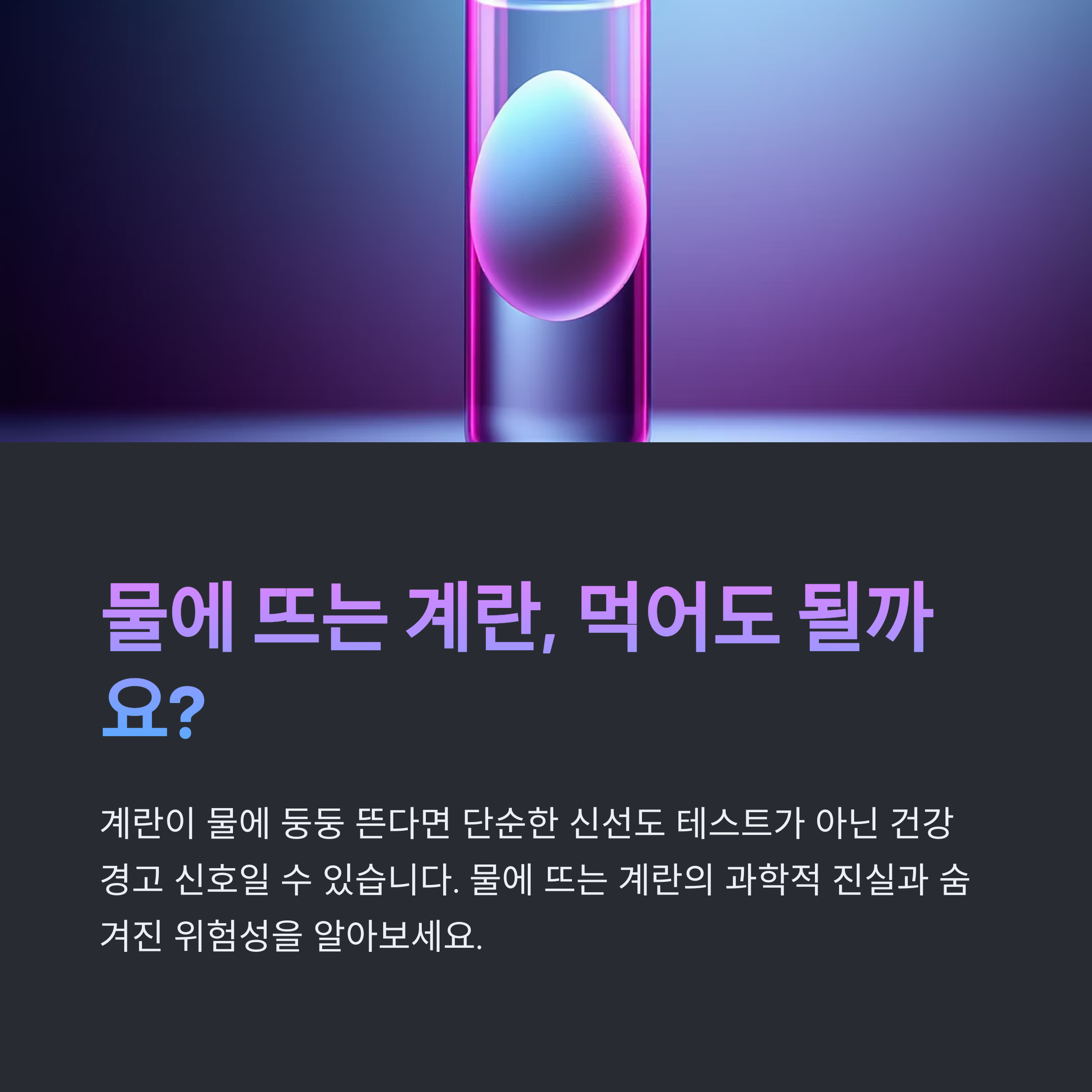 물에 뜨는 계란