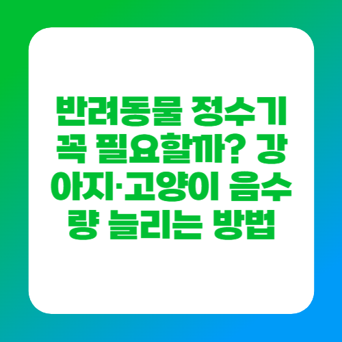 반려동물 정수기 꼭 필요할까? 강아지&middot;고양이 음수량 늘리는 방법