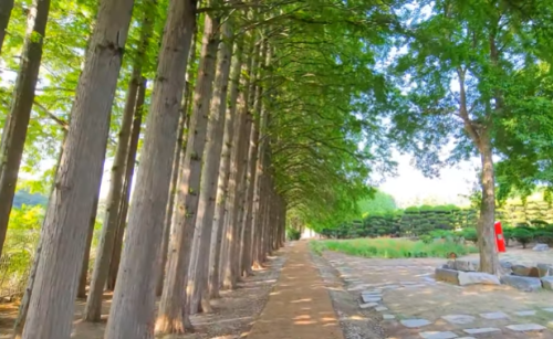 여름추천여행지