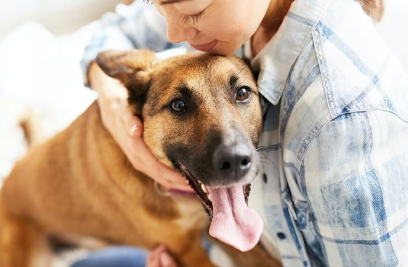 안겨있는 강아지