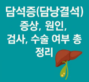 담석증(담낭결석) – 증상, 원인, 검사, 수술 여부까지 완전 정리