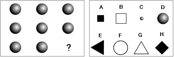 멘사 아이큐 테스트 실전편